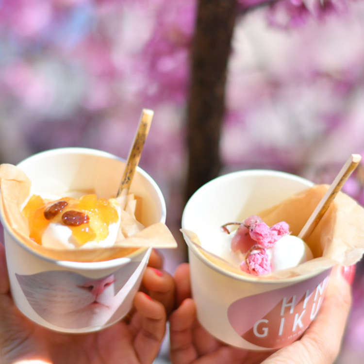 2台分 希少な 都市ガス  新品 米粉桜餅 和菓子 どら焼き祭 ホットパンケーキ 2台分 希少な 都市ガス 新品 米粉桜餅 和菓子 どら焼き祭 ホットパン