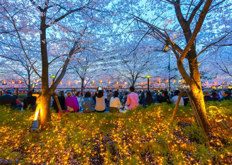 What is the weather like in March in Tokyo?
