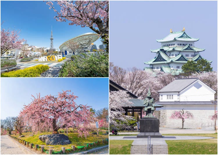 Clockwise from top left: Oasis21 in Sakae; Nagoya Castle; Ghibli Park (Photos: PIXTA)