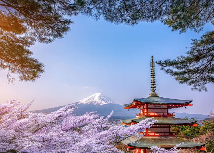 Complete Guide to Visiting Japan in April: Weather, What to See & Do | LIVE  JAPAN travel guide