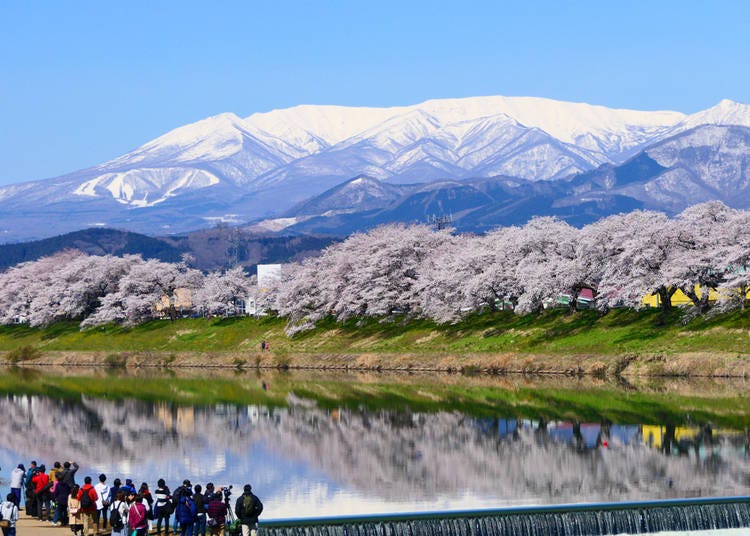 Tokyo Weather April 2025