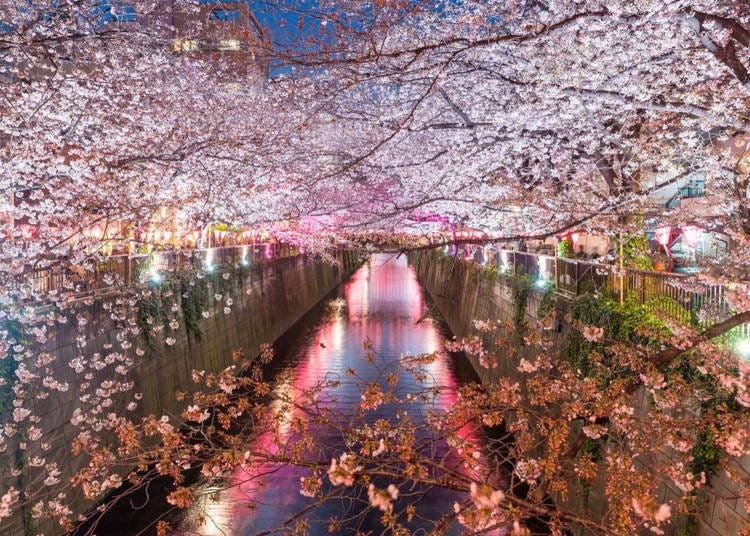 places to visit japan in april