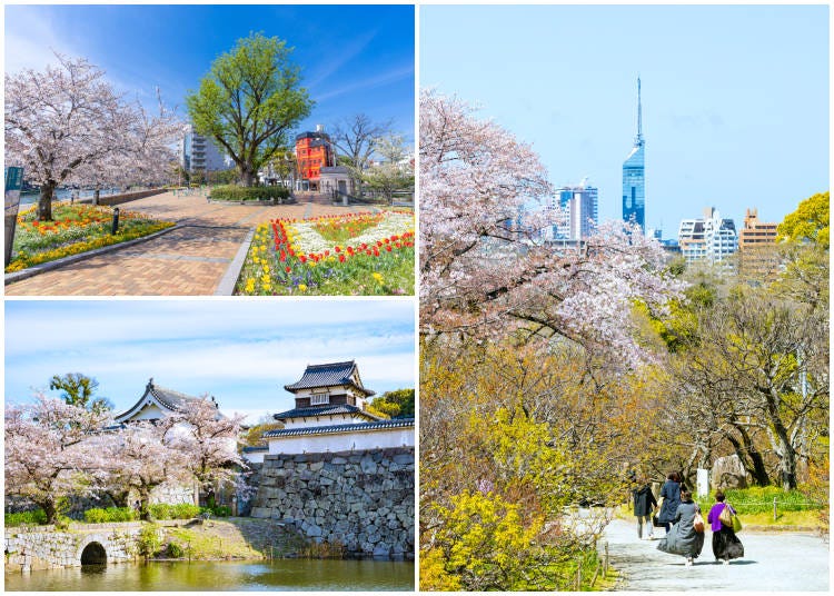 Clockwise from top left: Nakasu and Seiryu Park during the day in Fukuoka’s entertainment district; Maizuru Park in spring; cherry blossoms in full bloom at Maizuru Park (site of Fukuoka Castle). (Photos: PIXTA)