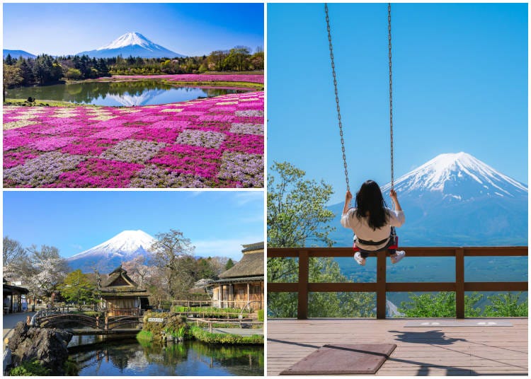 Clockwise from top left: Mt. Fuji reflected in the water at the Fuji Shibazakura Festival at Fuji Motosuko Resort; the “Mount Kachikachi Super View Swing” facing Mt. Fuji; spring cherry blossoms at Oshino Hakkai. (Photos: PIXTA)