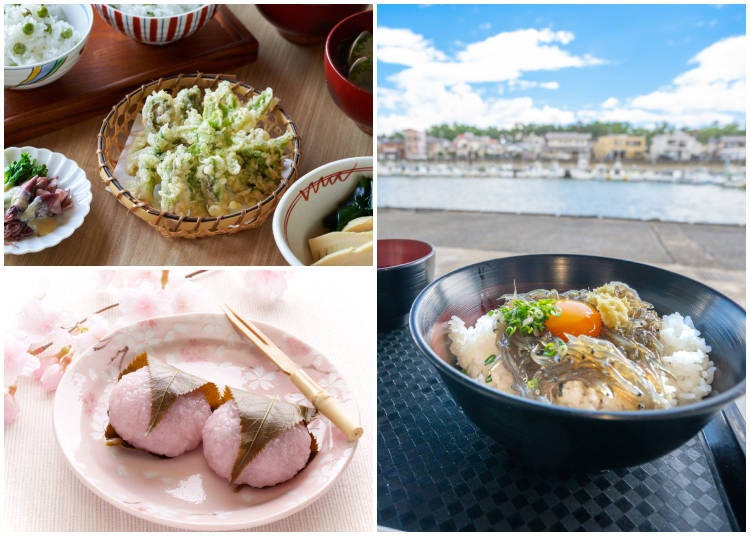 Clockwise from top left: Tempura made with spring mountain vegetables such as tara no me (angelica shoots), kogomi (ostrich fern fiddleheads), and fukinoto (butterbur buds); a fresh shirasu rice bowl at Tagonoura Fishing Port (Shizuoka); sakuramochi, a traditional spring sweet. (Photos: PIXTA)