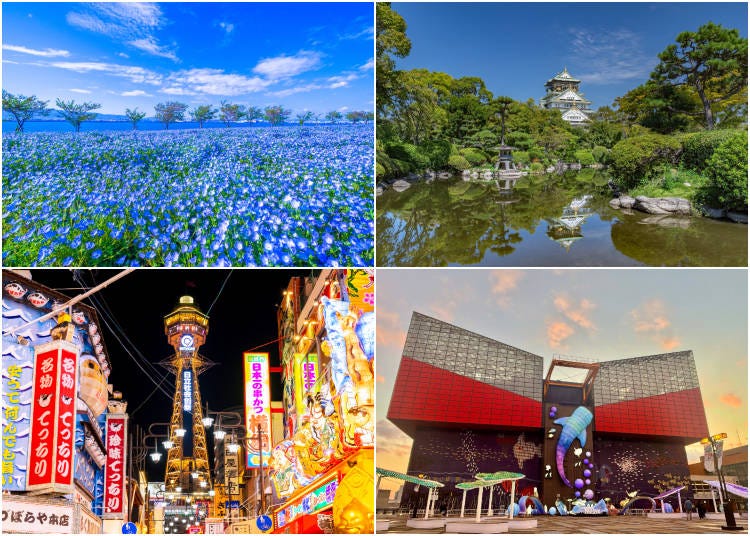 (Clockwise from top left: Baby blue eyes in bloom at Maishima Seaside Park; Osaka Castle viewed from the Japanese Garden; Exterior of Osaka Aquarium Kaiyukan; Shinsekai and the illuminated Tsutenkaku Tower. Photos: PIXTA)