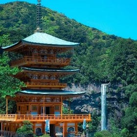 Kumano Kodo Walking Trail & Nachi Falls One Day Tour
Details & Bookings ▶
(Image/tour provider: Klook)