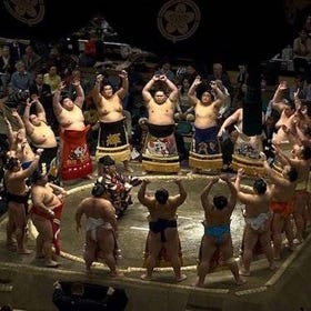 Sumo Tournament Experience in Tokyo
Details & Bookings ▶
(Image/tour provider: Viator)