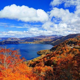 Oirase Gorge, Shirakami Sanchi Customizable Chartered Car Tour
Details & Bookings ▶
(Image/tour provider: Klook)