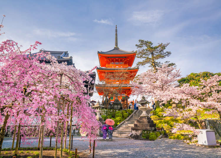 23 Astounding Places to Visit in Japan: If You Could Visit Just One Place in Japan, Where Would it Be?