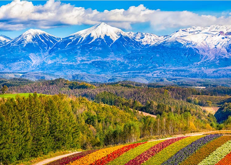 23 Astounding Places in Japan: If You Could Visit Just One, Where Would ...