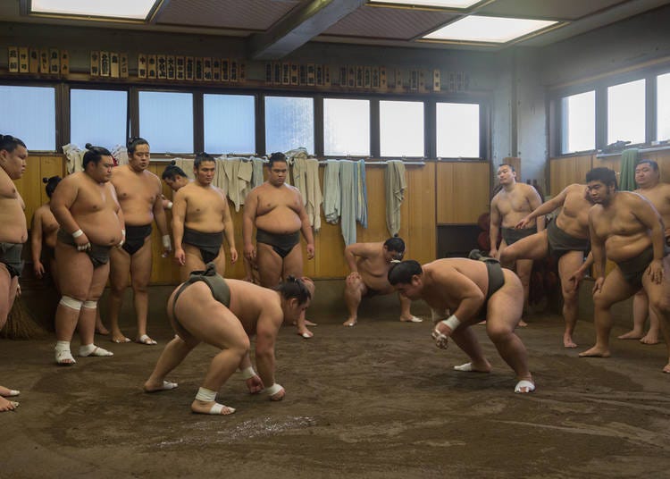 6. Watch Morning Sumo Practice