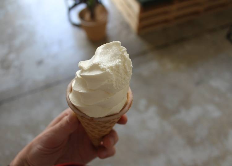 A soft ice cream that keeps perfectly in the freezer!
