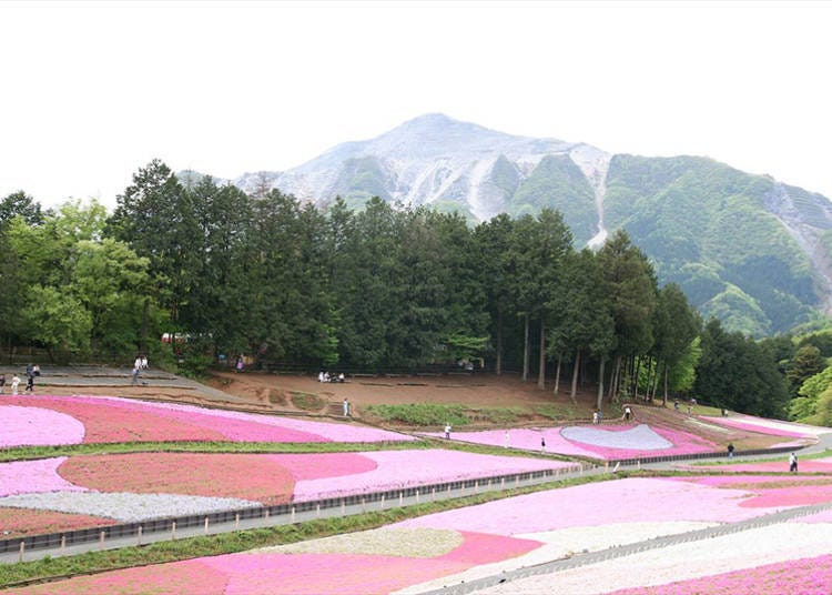■From its autumn leaves to its riversides, Chichibu is a place of great beauty!