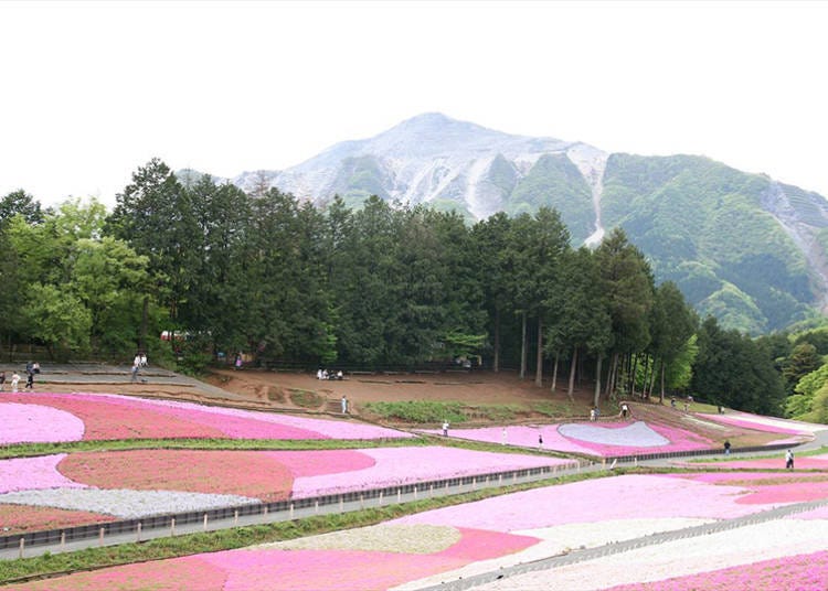 ■From its autumn leaves to its riversides, Chichibu is a place of great beauty!