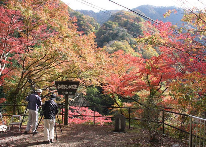 東京近郊就能看雲海 前往能量景點 秩父推薦觀光玩法 能喝到當地精釀酒的餐廳10選 Live Japan 日本旅遊 文化體驗導覽