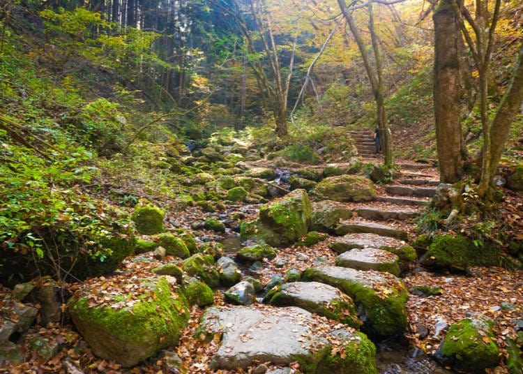 5) Mount Mitake: Recommended by Bozhana (Tokyo resident for 4 years)