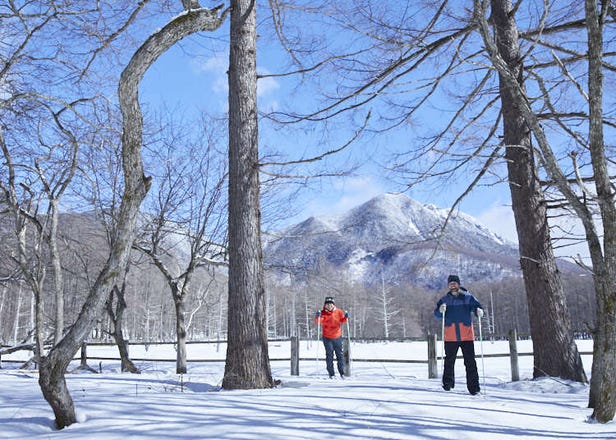 Explore Nikko National Park: Japan’s Incredible Scenic Winter Wonderland!