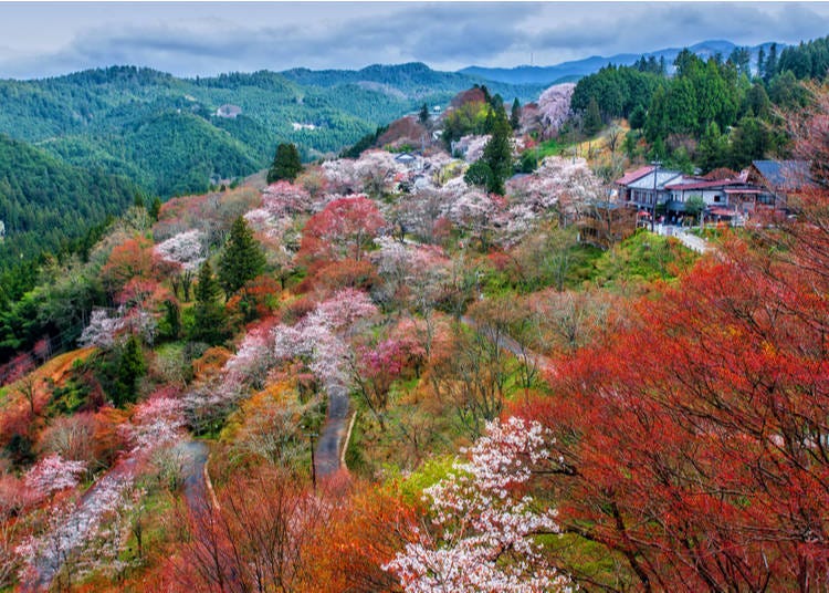 10. Mount Yoshino