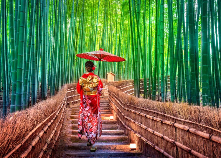 13. Arashiyama Bamboo Grove