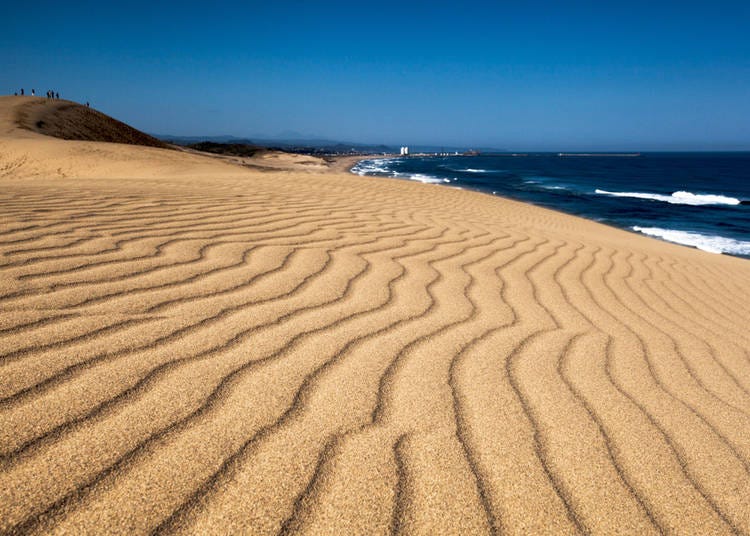 20. Tottori Sand Dunes
