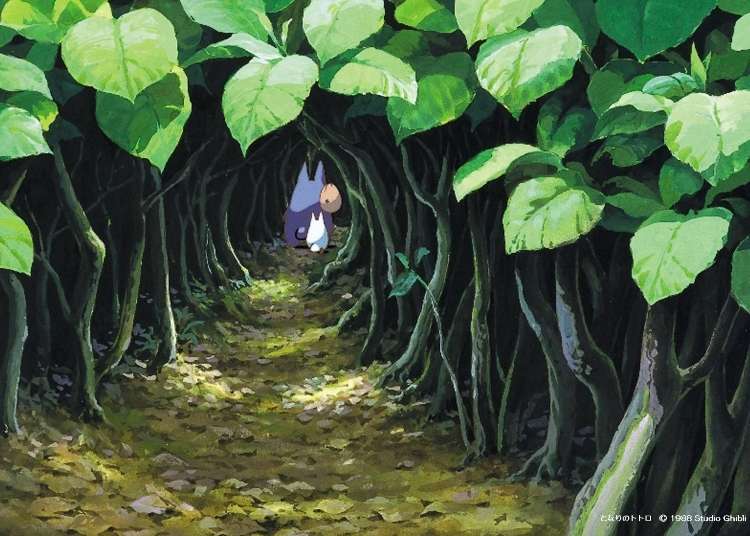 Step Into The Ghibli Universe and Transform Your Video Calls With Free Backgrounds!