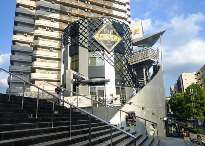 东京浅草精酿啤酒 肉料理餐厅 Tokyo隅田川brewing 直击 Live Japan 日本的旅行 旅游 体验向导