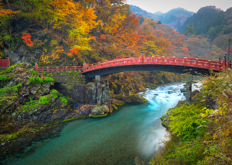9. 紅葉 Kōyō (n.)