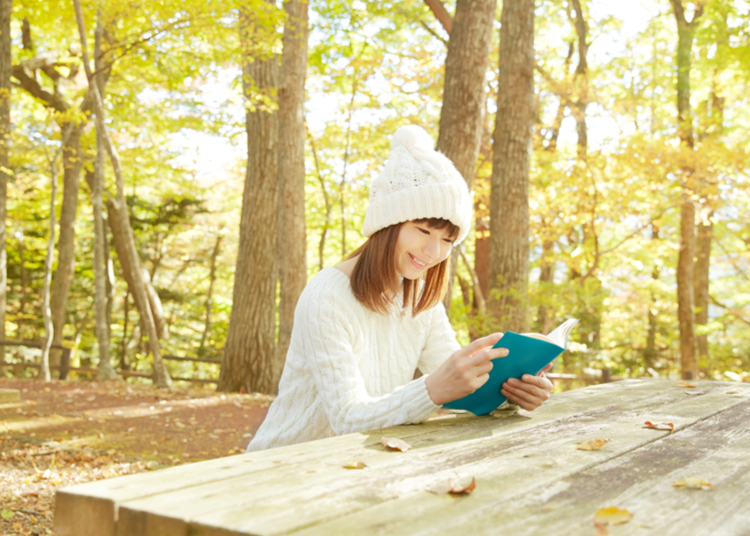 Find a Good Book on Japan