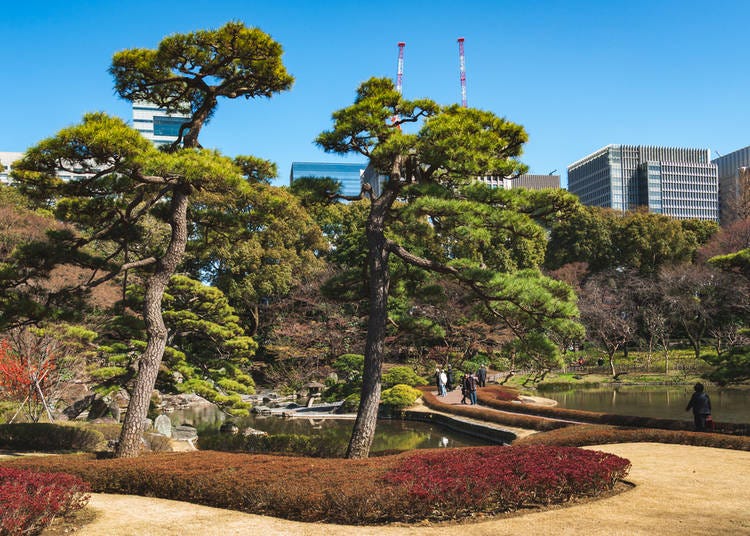 1. Relax in the Imperial Palace East Gardens