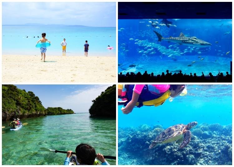 (Clockwise from top left: A parent and child playing in the ocean in Okinawa; whale shark and tropical fish at Okinawa Churaumi Aquarium; an elementary schooler snorkeling with a sea turtle off Tokashiki Island; sea kayaking in Kabira Bay. Photos: PIXTA)