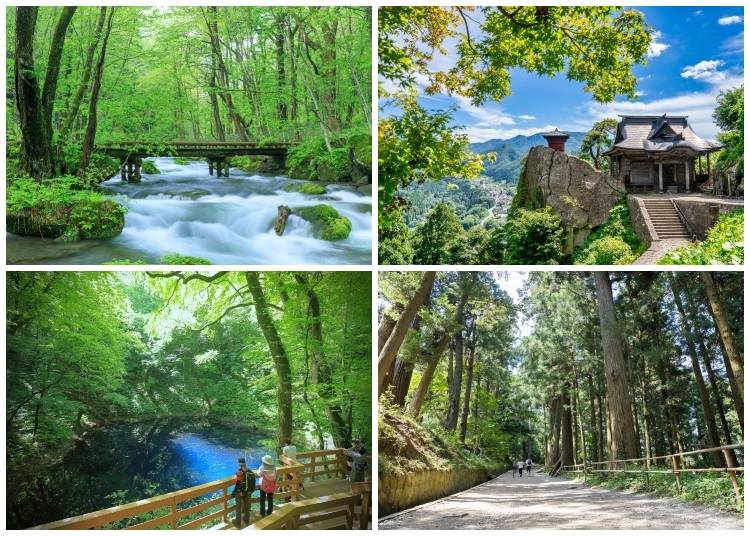 (Clockwise from top left: Wooden bridge over the Oirase Gorge in Aomori; Summer view of Risshakuji Temple’s Kaizan-do and Nokyo-do in Yamadera; Tourists walking along Tsukimizaka path at Chusonji Temple; Viewing deck at Aoike Pond in Shirakami-Sanchi. Photos: PIXTA)