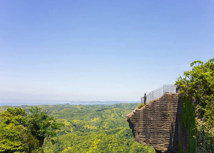 (tongo51 / Shutterstock.com)