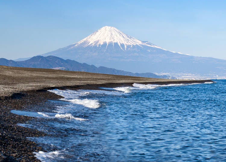 10. 三保海岸與靜岡