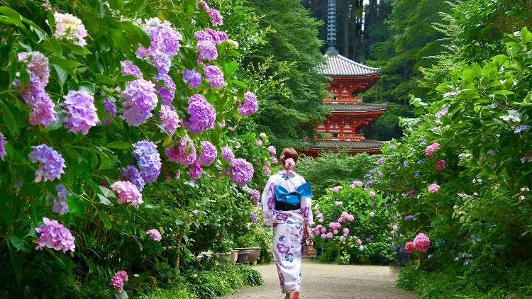 Is June a Good Time to Visit Japan? Weather, Events & Travel Tips