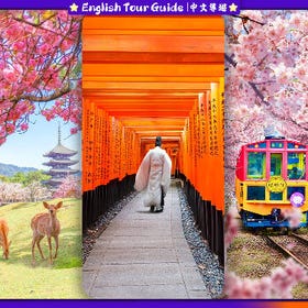Kyoto & Nara Day Tour: Arashiyama Train, Fushimi Inari Shrine
Details & Bookings ▶
(Image/activity provider: Klook)