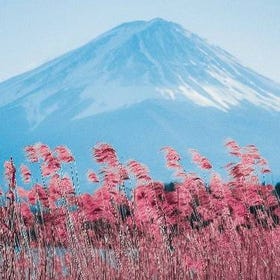 (From Tokyo) Mount Fuji Popular Instagrammable Sights Sightseeing Tour
Details & Bookings ▶
(Image/activity provider: Klook)