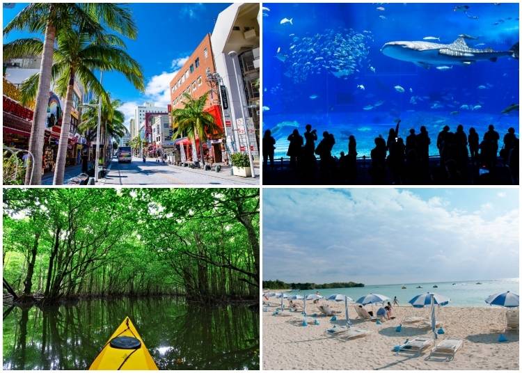 (Clockwise from top left: Naha’s lively Kokusai Street in Okinawa; Okinawa Churaumi Aquarium; Kayaking through a mangrove tunnel on a tributary of the Nakama River in Iriomote Island; Sunset views at Zanpa Beach. Photos: PIXTA)