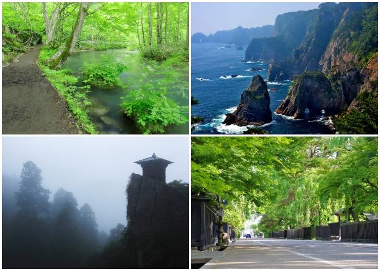 (Clockwise from top left: Walking trail along the Oirase Gorge in Aomori; Dramatic cliffs of Kitayamazaki along the Sanriku Coast; Lush greenery along the samurai district in Kakunodate, Akita; Rainy-season mist surrounding Nokyodo Hall at Yamadera Temple in Yamagata. Photos: PIXTA)
