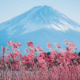 (Dari Tokyo) Mount Fuji Popular Instagrammable Sights Sightseeing Tour
Detail & Pemesanan ▶
(Image/activity provider: Klook)