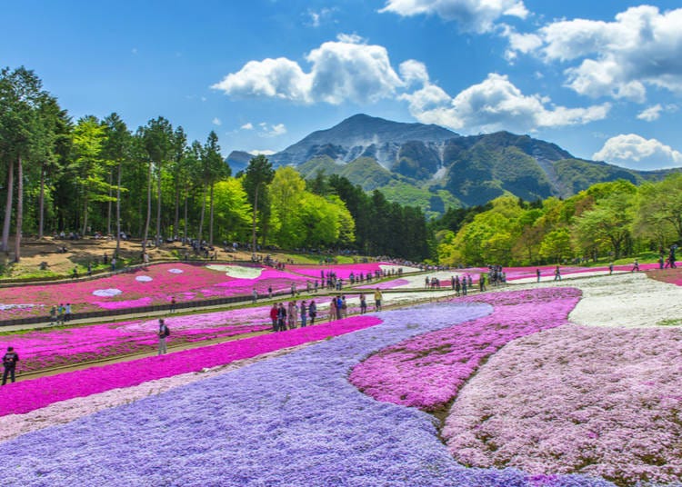 6. Chichibu (Saitama)