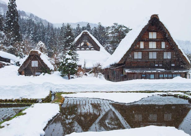 Is Japan's 'Fairytale Village' Worth the Trip? Weird Ways Shirakawa-go Surprised Foreign Visitors!