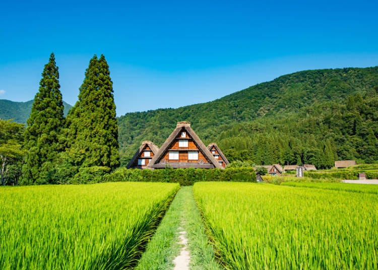 合掌屋真的有人住？那些讓人驚訝的白川鄉真實特色！