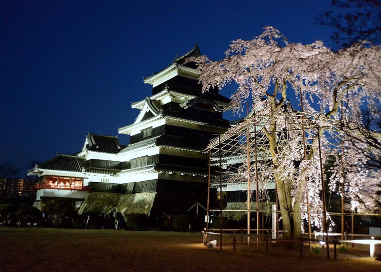 Photo: Matsumoto Castle Administration Office