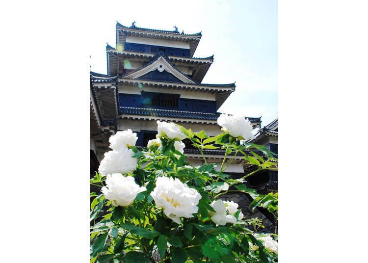 Photo: Matsumoto Castle Administration Office