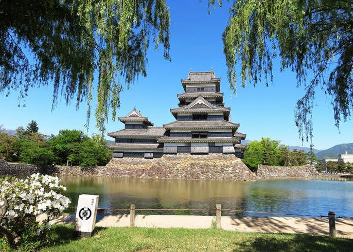 日本100名城 松本城 攻略 入場費 人氣攝影點 免費導覽一次告訴你 Live Japan 日本旅遊 文化體驗導覽