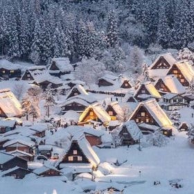 Private Tour of Shirakawago and Gokayama from Kanazawa
▶Tap for details/bookings
(Image: Viator)