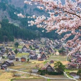 1 Day Private Charter Tour to Takayama & Shirakawago from Kanazawa
▶Tap for details/bookings
(Image: Viator)