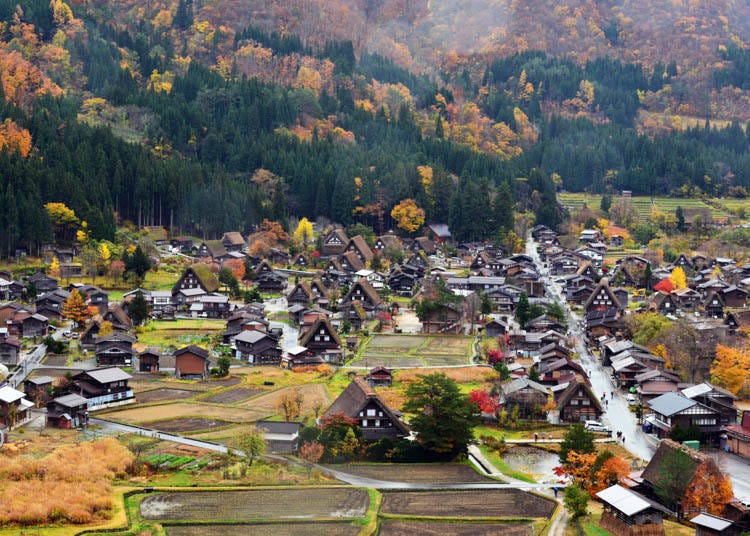 Kehangatan dedaunan yang mulai berubah warna di musim gugur (Kredit foto: Balai Desa Shirakawa, Gifu)