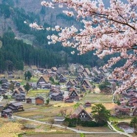 Tur Carter Pribadi 1 Hari ke Takayama & Shirakawago dari Kanazawa
▶Ketuk untuk detail/pemesanan
(Gambar: Viator)